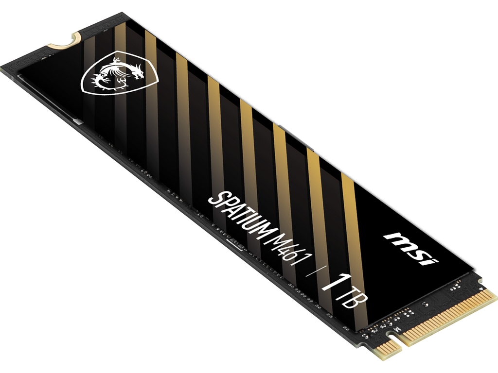 MSI M461 M.2 2280 1TB PCI-Express 4.0 Internal Solid State Drive (SSD)